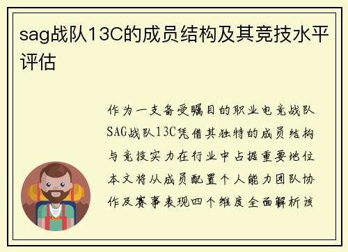 sag战队13C的成员结构及其竞技水平评估